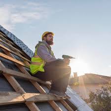 Best Roof Moss and Algae Removal  in Bonanza, GA